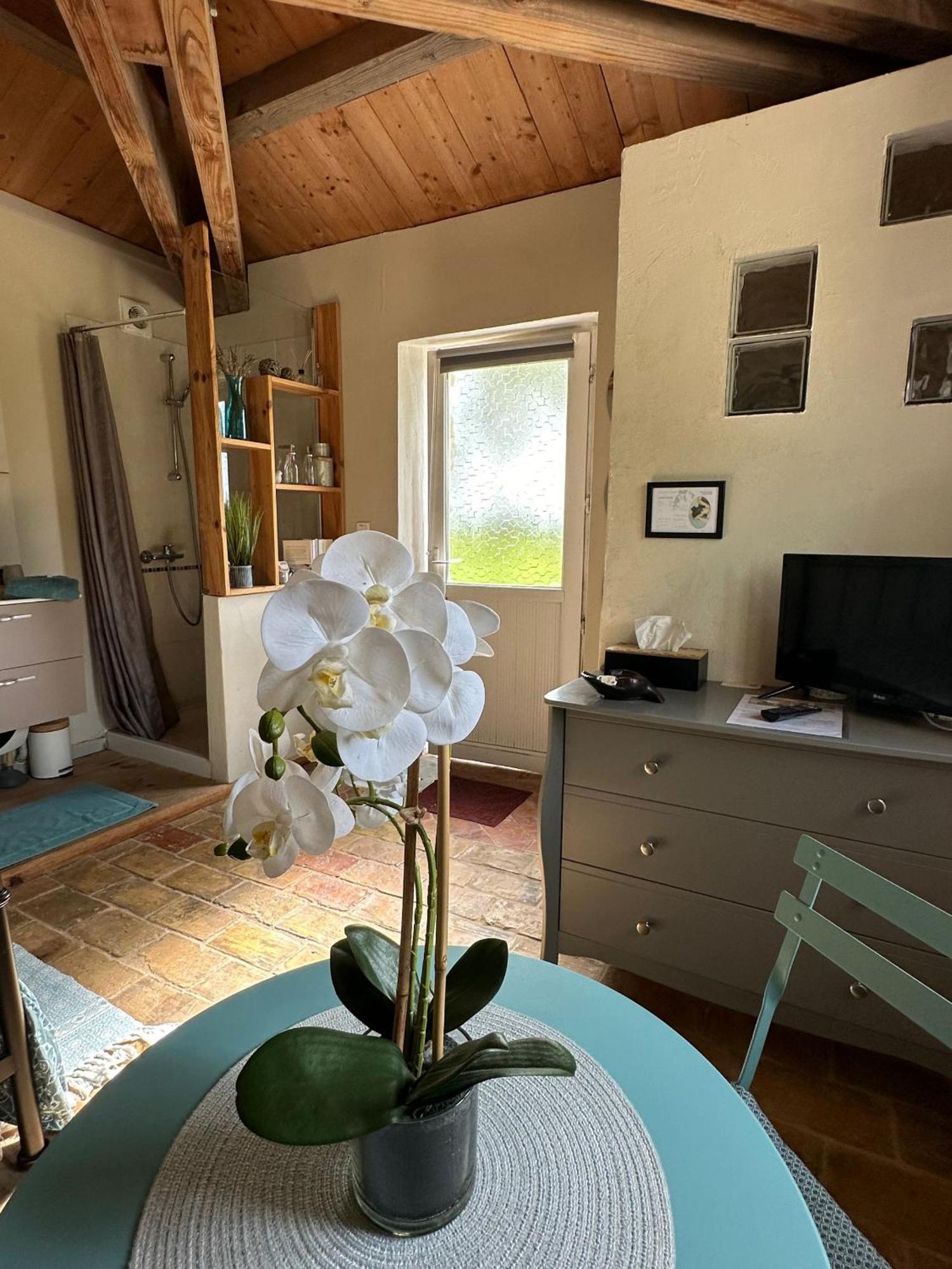 Maisonnette Independante Au Calme Dans Un Grand Jardin Châteauneuf-du-Rhône Exterior foto