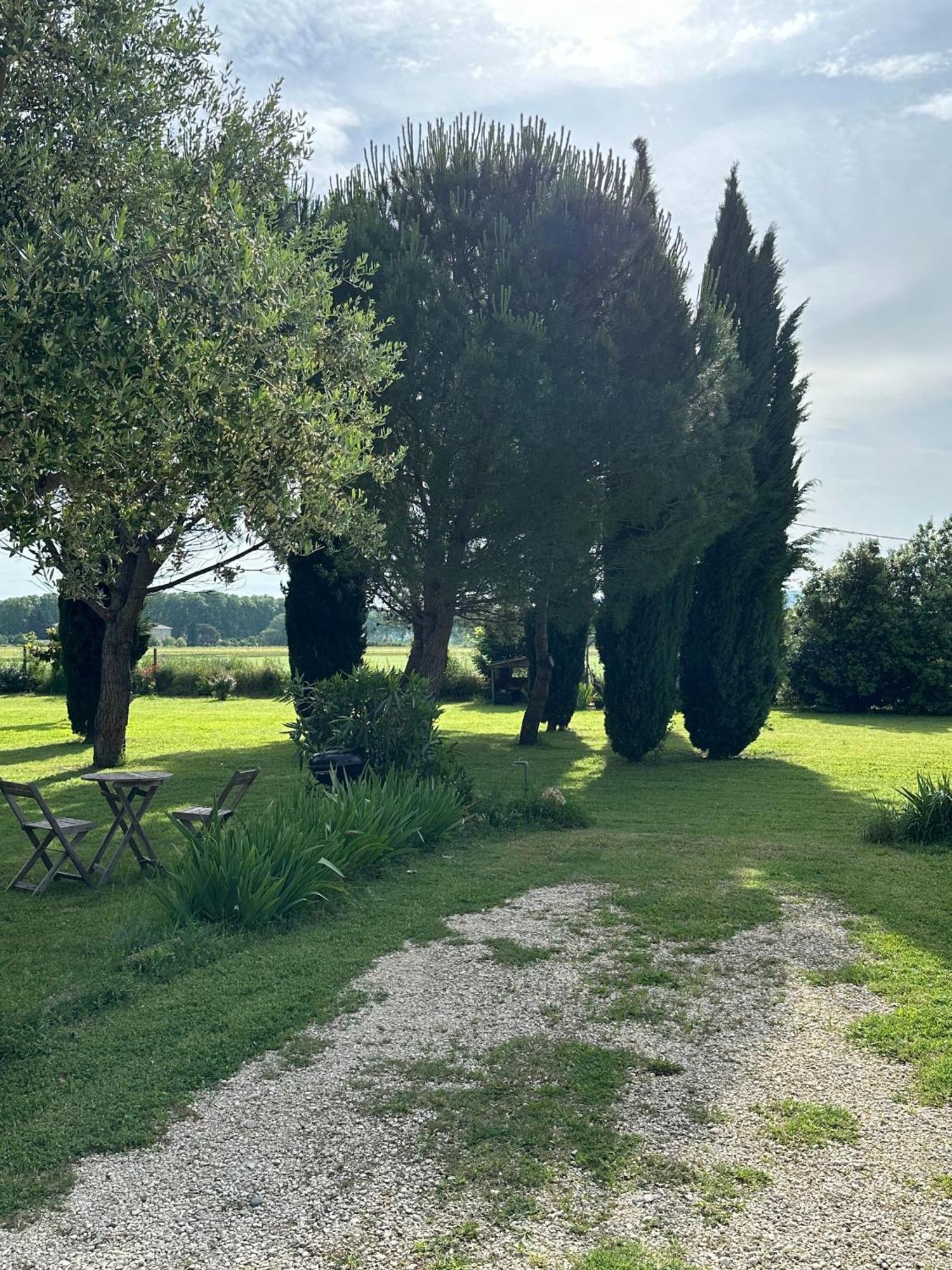 Maisonnette Independante Au Calme Dans Un Grand Jardin Châteauneuf-du-Rhône Exterior foto