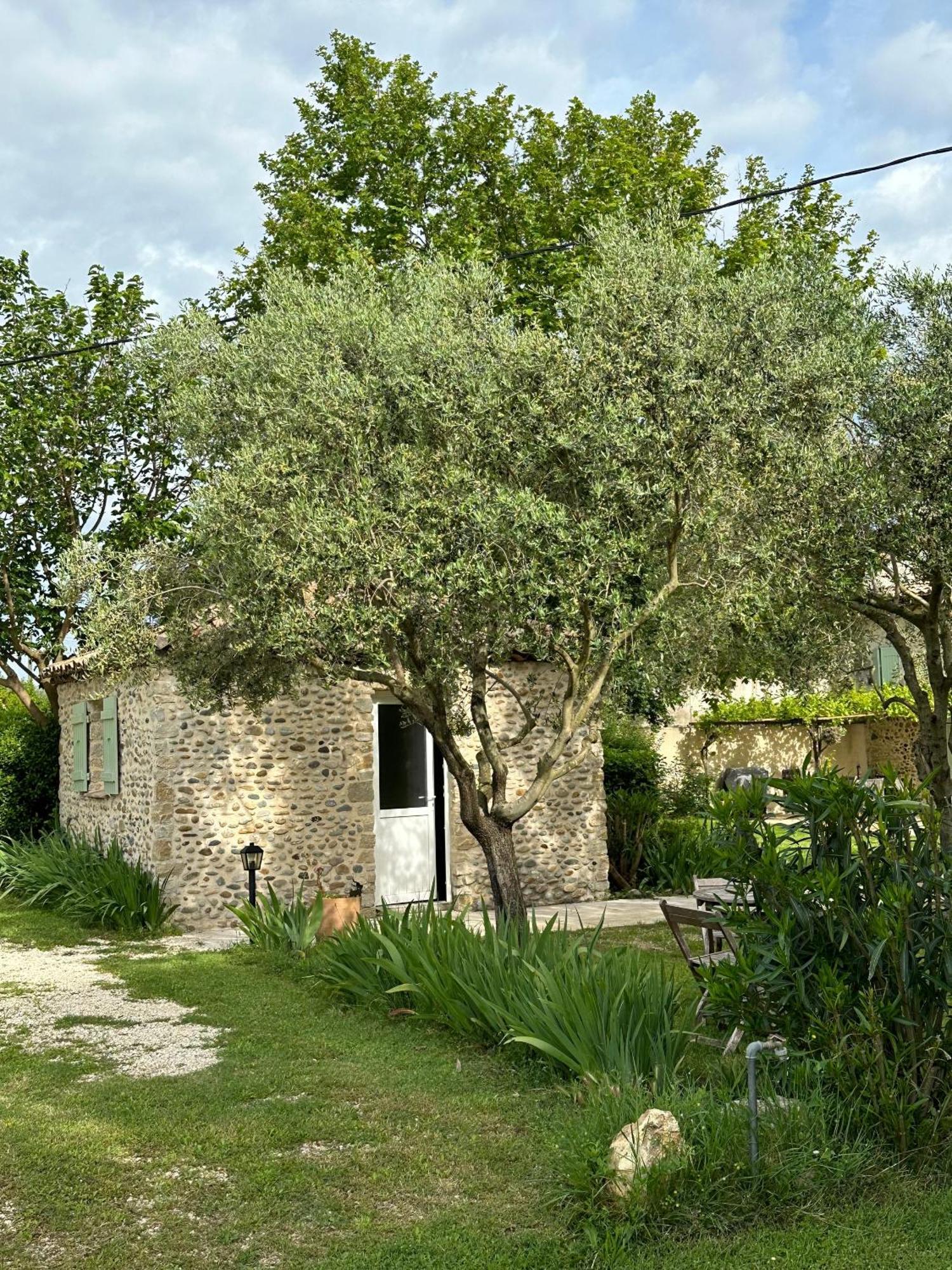 Maisonnette Independante Au Calme Dans Un Grand Jardin Châteauneuf-du-Rhône Exterior foto